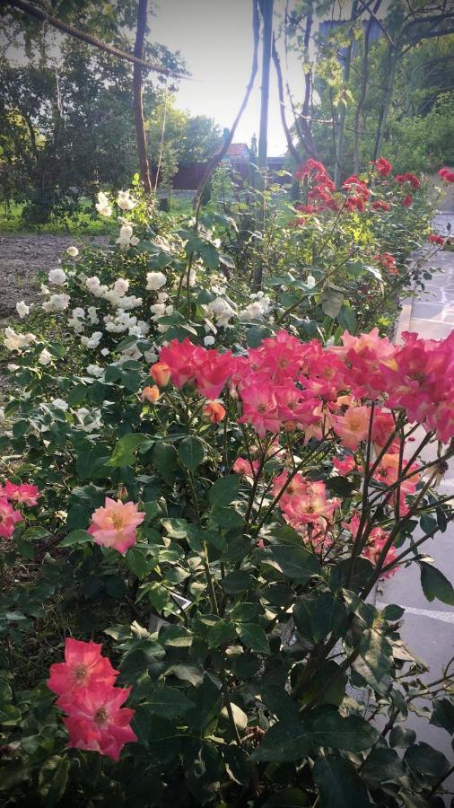 Ekas Rosengarten ゴリ エクステリア 写真